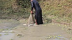 Amazing new Village girl Fishing video