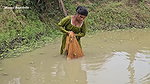 Amazing Village Girl Fishing Big Carp Fish