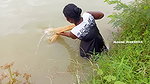 Amazing village Girl Fishing video-d