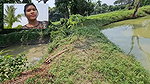 Amazing Village girl Net Fishing in Village pond