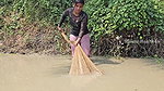Amazing Village girl Net Fishing in Village pond