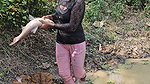 Amazing Village girl Net Fishing in Village pond