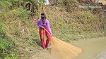 Amazing Village girl net fishing video