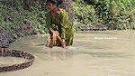 Amazing Village Girl new Big Carp hunting in Villa