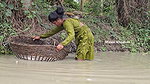 Amazing Village Girl new Big Carp hunting in Villa