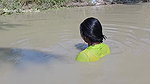 Amazing Village Girl New Fishing video