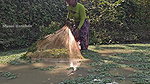Amazing Village girl new Net  Fishing video