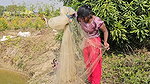 Amazing Village girl new net Fishing video