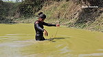 Amazing Village girl new net fishing video