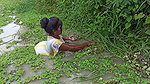 Amazing Village Lady Hand Fishing-da