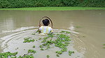 Amazing Village Lady Hand Fishing-da