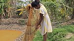 Amazing Village Lady Mouni Net Fishing in Muddy Wa