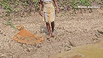 Amazing Village Lady Mouni Net Fishing in Muddy Wa