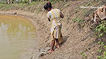 Amazing Village Lady Mouni Net Fishing in Muddy Wa