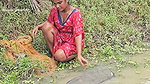 Amazing Village Lady Net fishing video