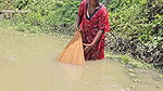 Amazing Village Lady Net fishing video