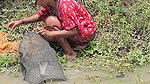 Amazing Village Lady Net fishing video