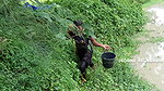 Amazing Village Lady Net Fishing-da