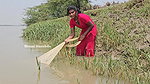 Amazing Village Lady Shore Fishing-d