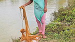 Amazing Village Net fishing video