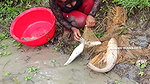 Amazing Village Women fishing Big Net Fish