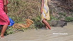 Amazing Village Women Fishing video with Mouni Fis