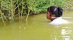 Amazing Village women Hand fishing-d