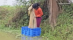 x  Amazing Village Women incredible Net fishing