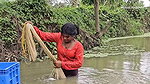 x  Amazing Village Women incredible Net fishing