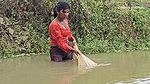 x  Amazing Village Women incredible Net fishing