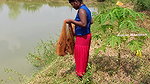 x Amazing Village Women Net Fishing  Video