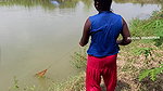 x Amazing Village Women Net Fishing  Video
