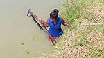 x Amazing Village Women Net Fishing  Video