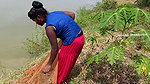 x Amazing Village Women Net Fishing  Video