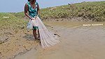 Amazing Village Women Net Fishing in Bay of Bengal