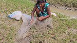 Amazing Village Women Net Fishing in Bay of Bengal