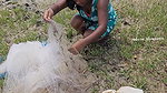 Amazing Village Women Net Fishing in Bay of Bengal