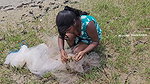 Amazing Village Women Net Fishing in Bay of Bengal