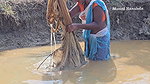 Amazing Village Women Net Fishing in Muddy Water