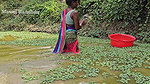 Amazing Village Women Net Fishing
