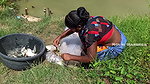 Amazing Village women net fishing-da