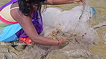 Amazing Village Women shore Fishing video