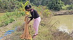 Bengali girl net fishing in Village pond