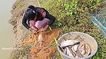 Bengali girl net fishing in Village pond