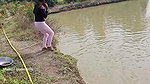 Bengali girl net fishing in Village pond