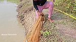 Bengali girl net fishing in Village pond