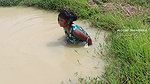 x Best village girl net fishing video