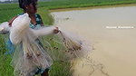 x Best village girl net fishing video