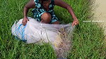 x Best village girl net fishing video