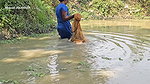 Mouni Hanshda incredible Net fishing in Village po